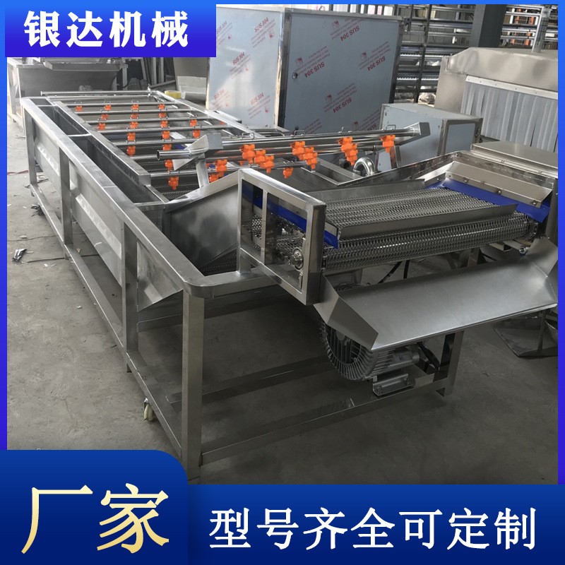 大型蔬菜清洗机 多功能全自动气泡清洗机 喷淋式果蔬加 工设备图3