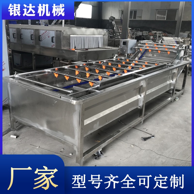 大型蔬菜清洗机 多功能全自动气泡清洗机 喷淋式果蔬加 工设备图2