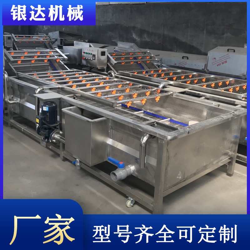 大型蔬菜清洗机 多功能全自动气泡清洗机 喷淋式果蔬加 工设备图4