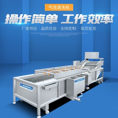 大型蔬菜清洗机 多功能全自动气泡清洗机 喷淋式果蔬加 工设备