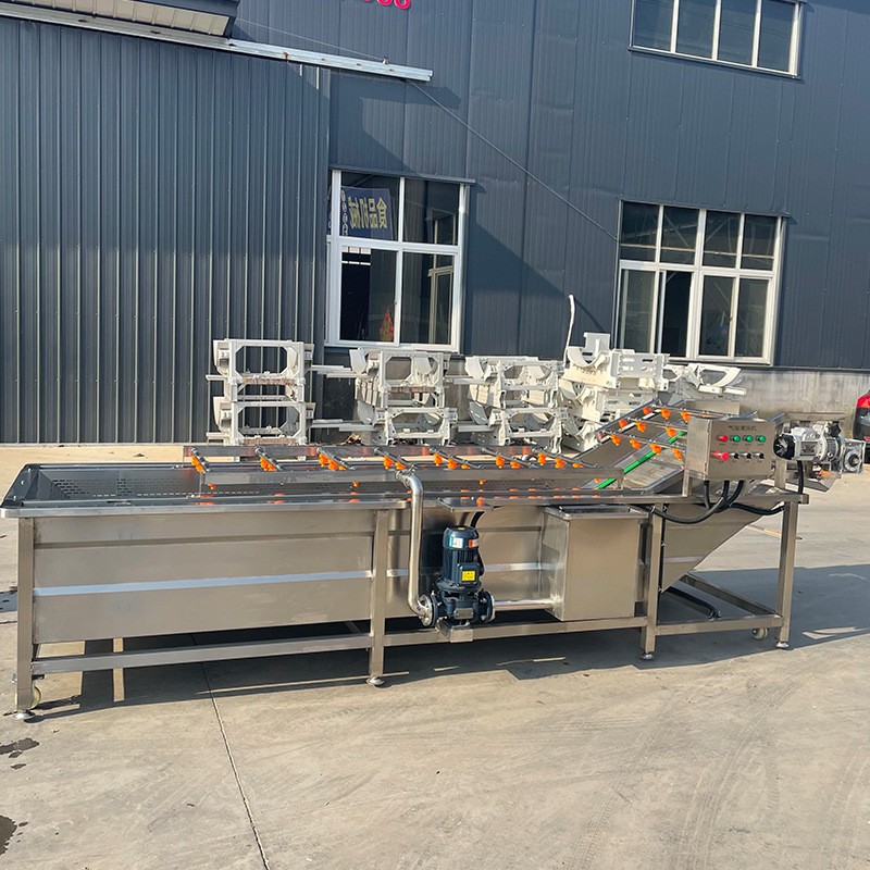 商用中药材全自动喷淋洗菜机 韭菜去泥沙净菜设备 白菜气泡清洗机图5