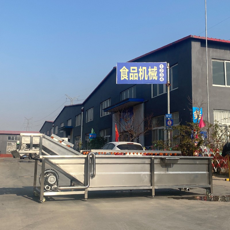 商用中药材全自动喷淋洗菜机 韭菜去泥沙净菜设备 白菜气泡清洗机图3