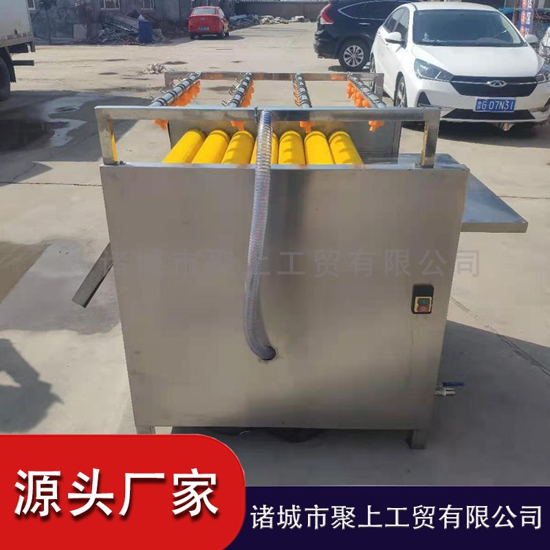 粽叶清洗机 全自动洗粽叶设备 高压喷淋洗叶子机器 毛辊洗叶机图2