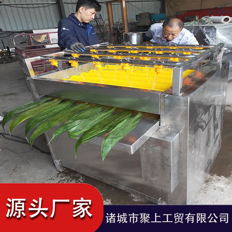 粽叶清洗机 全自动洗粽叶设备 高压喷淋洗叶子机器 毛辊洗叶机图5