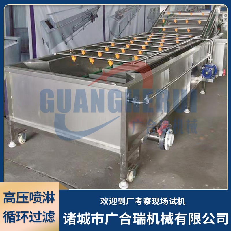 果蔬气泡清洗机 大姜白菜毛豆蔬菜高压喷淋清洗设备 全自动洗菜机图5