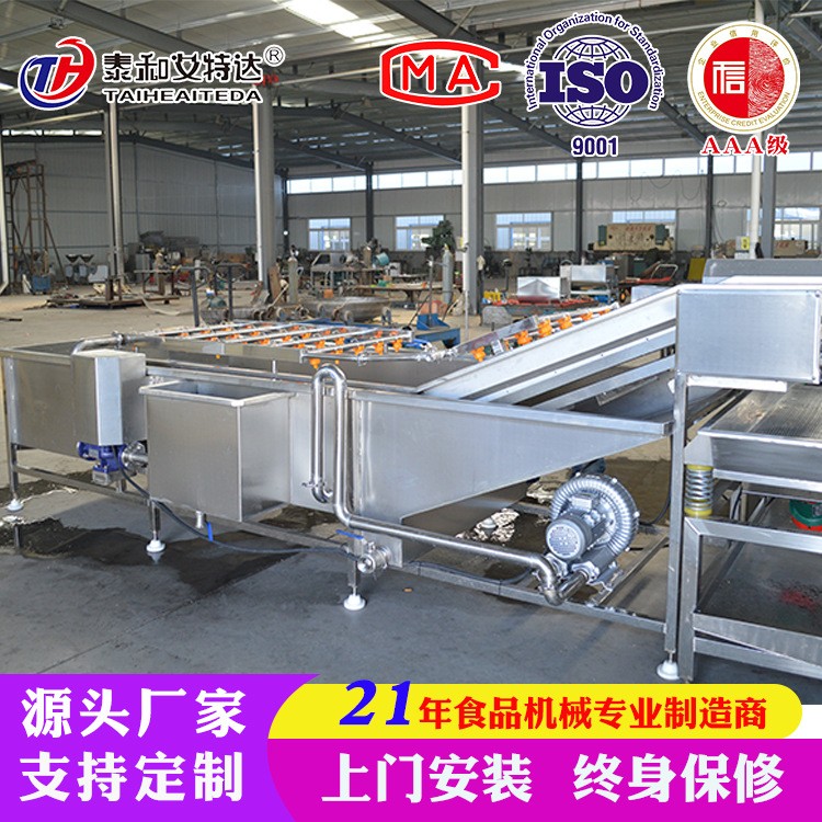 定制大白菜去虫清洗机 净菜加工设备 高压气泡喷淋清洗机图4