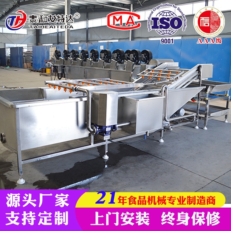 定制大白菜去虫清洗机 净菜加工设备 高压气泡喷淋清洗机图2