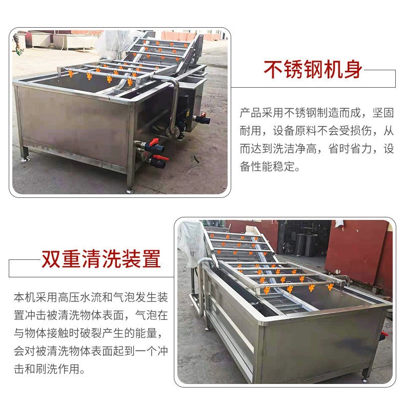全自动商用果蔬清洗机 多功能水果气泡清洗机 冲浪式蔬菜清洗机图4