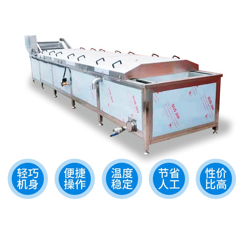 全自动蔬菜漂烫机 蒸汽加热漂烫杀青设备 高温蒸煮果蔬漂烫机图2