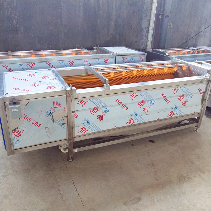 小型毛刷清洗机 红薯土豆清洗去皮机 不锈钢海鲜清洗去泥机图3