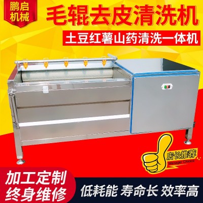 小型毛刷清洗机 红薯土豆清洗去皮机 不锈钢海鲜清洗去泥机