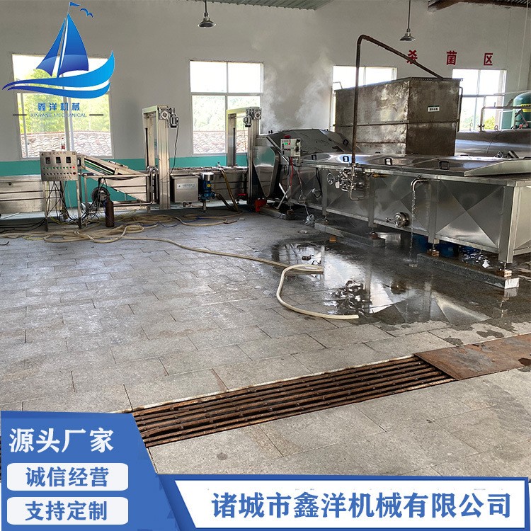 土豆粉巴氏杀菌机 水浴式杀菌设备 泡鸭掌鸡爪巴氏杀菌机 现货图5