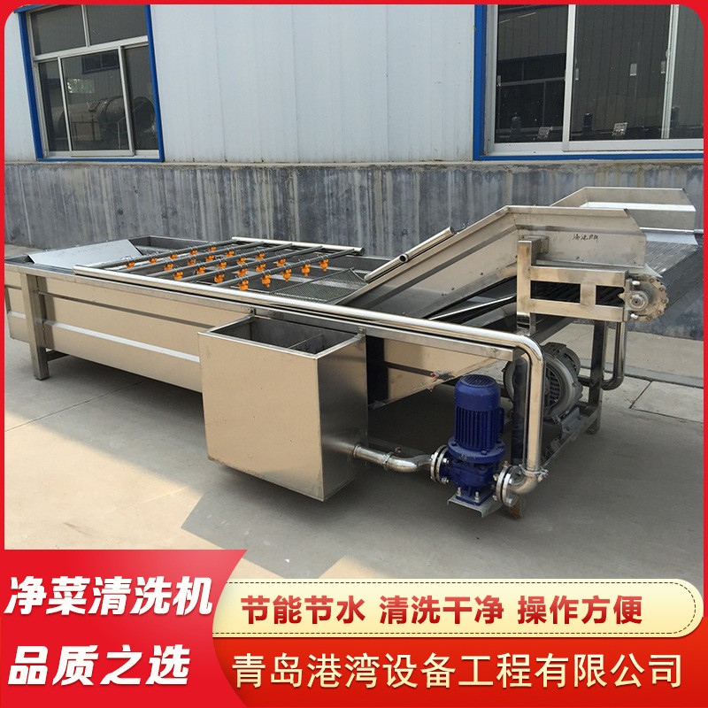 蔬菜气泡清洗机 喷淋式果蔬清洗机设备 大姜竹笋全自动气泡清洗机图3