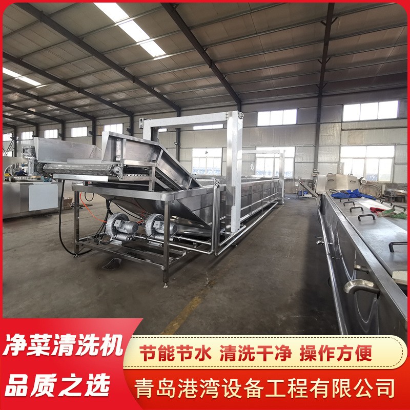 蔬菜气泡清洗机 喷淋式果蔬清洗机设备 大姜竹笋全自动气泡清洗机图4