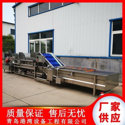 预制菜清洗机 蔬菜水果中央厨房预制菜设备 预制菜流水线