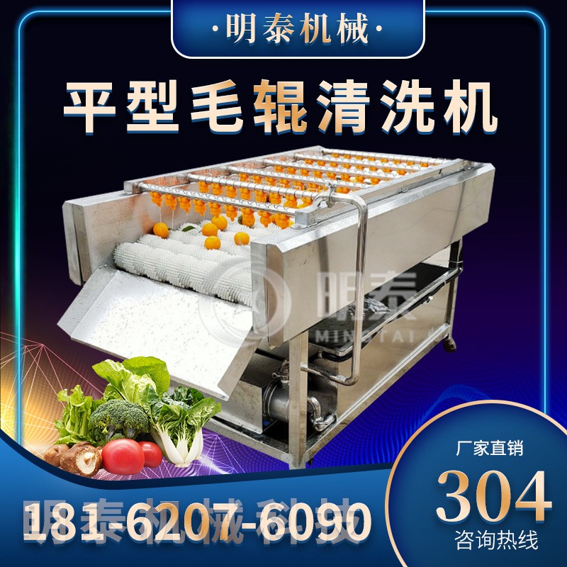 多功能毛辊清洗机小型土豆生蚝莲藕去泥土清洗设备商用生姜去皮机图2