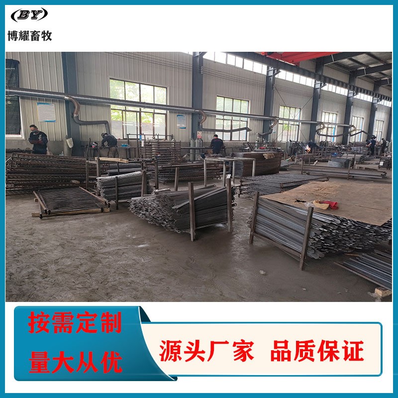 德州博耀养殖设备厂家供应 欧式单双体母猪产床 猪用定位栏图2