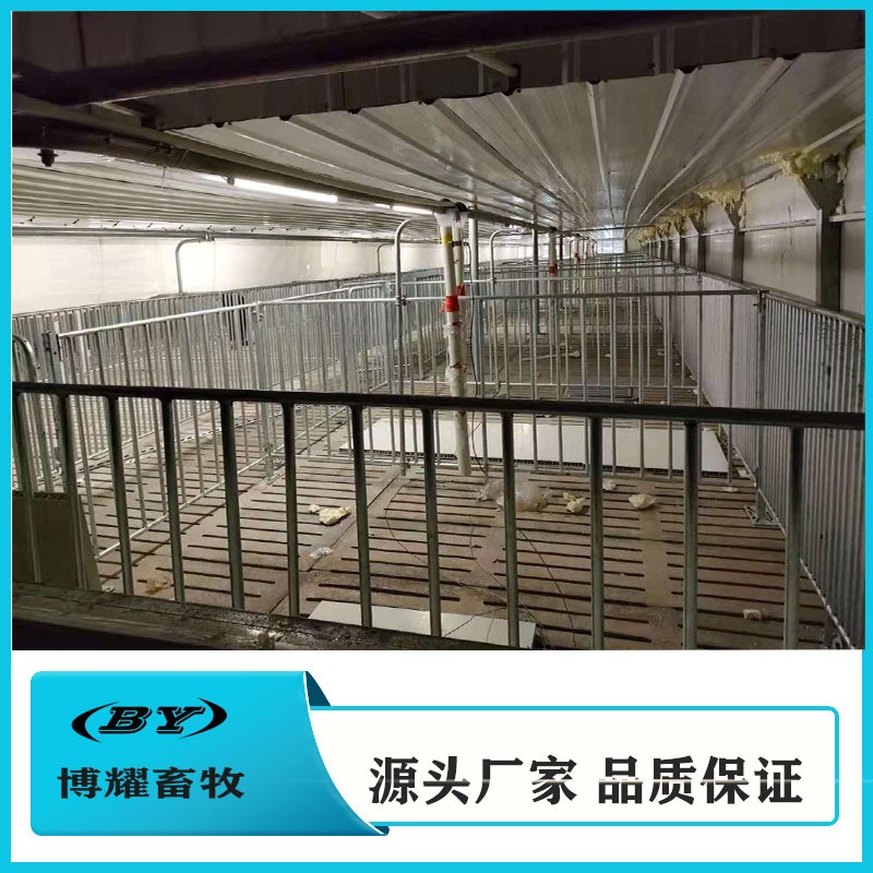 德州博耀养殖设备厂家供应 欧式单双体母猪产床 猪用定位栏图3