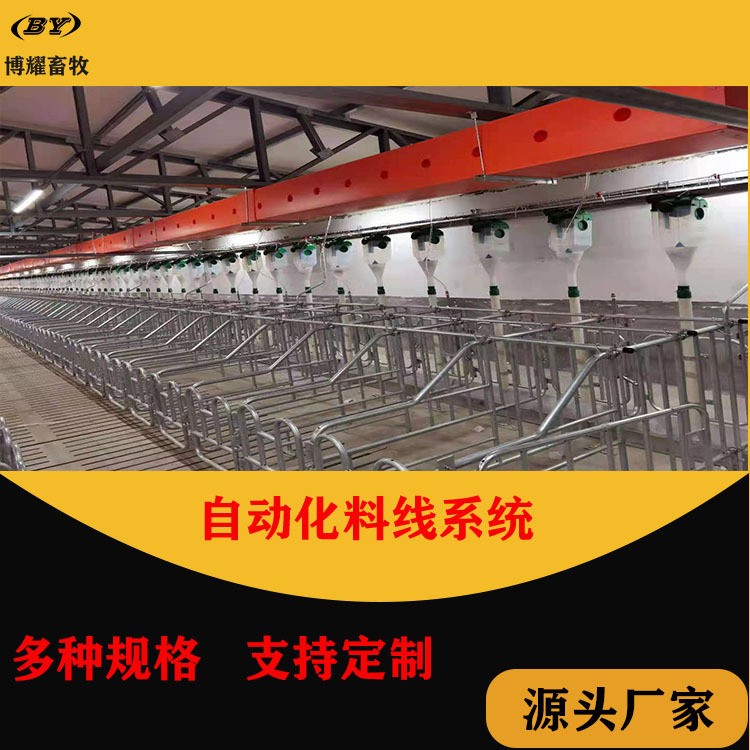 自动化养殖料塔料线系统 德州博耀供应赛盘料线 102料线图4