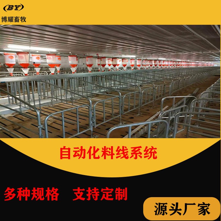 自动化养殖料塔料线系统 德州博耀供应赛盘料线 102料线图3