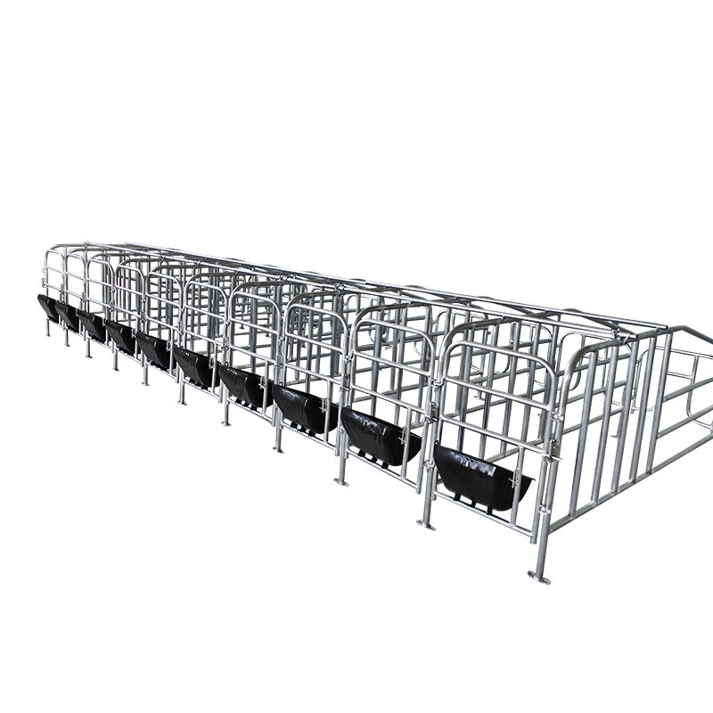 母猪产床复合板分娩产床热镀锌双体产床定位栏保育床猪用养殖设备图3