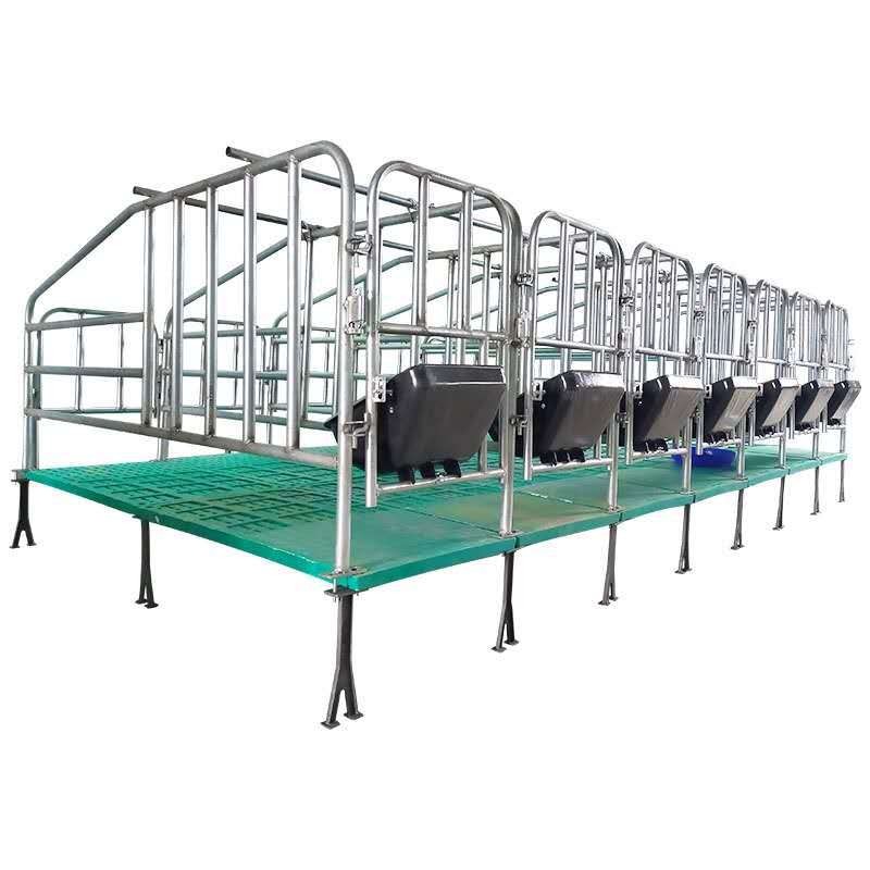 母猪产床复合板分娩产床热镀锌双体产床定位栏保育床猪用养殖设备图5