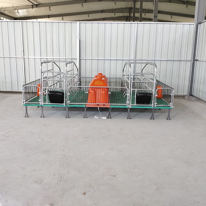 母猪产床复合板分娩产床热镀锌双体产床定位栏保育床猪用养殖设备图3