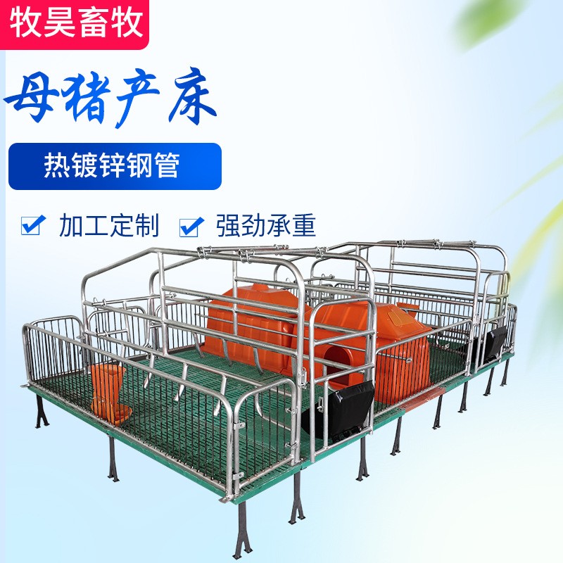 母猪产床复合板分娩产床热镀锌双体产床定位栏保育床猪用养殖设备