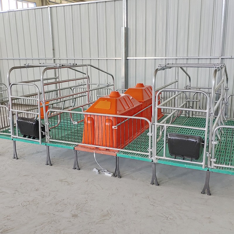 母猪产床复合板分娩产床热镀锌双体产床定位栏保育床猪用养殖设备图4