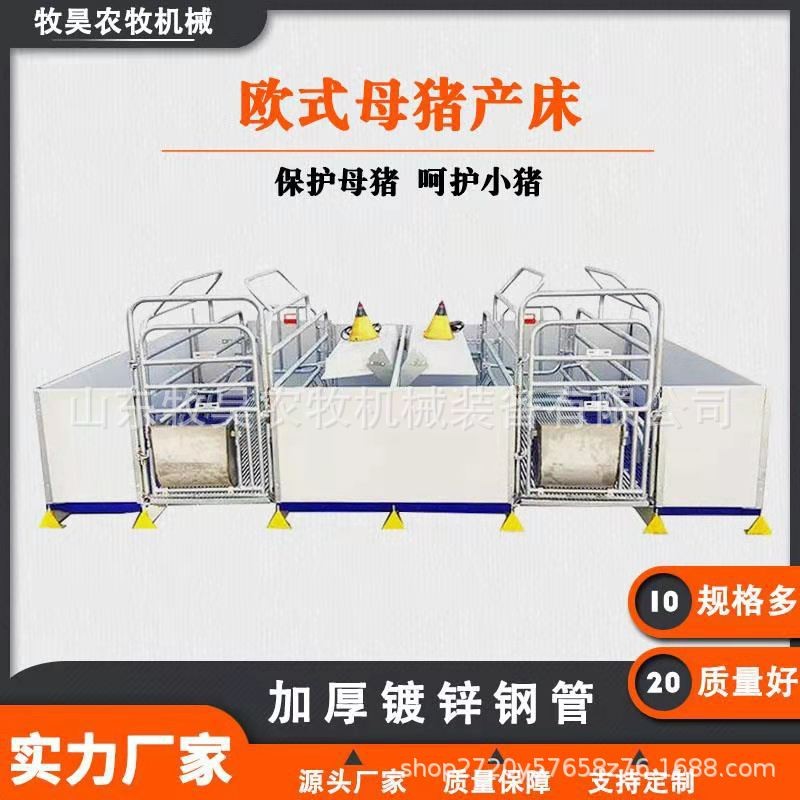 欧式热镀锌双体母猪产床热浸锌猪用保育床三棱刚PVC围栏猪用产床图3