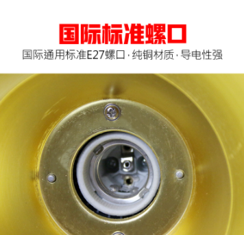 养猪设备 取暖灯灯罩猪兽用防爆灯罩兽用器械保温灯灯罩 养殖设备图4