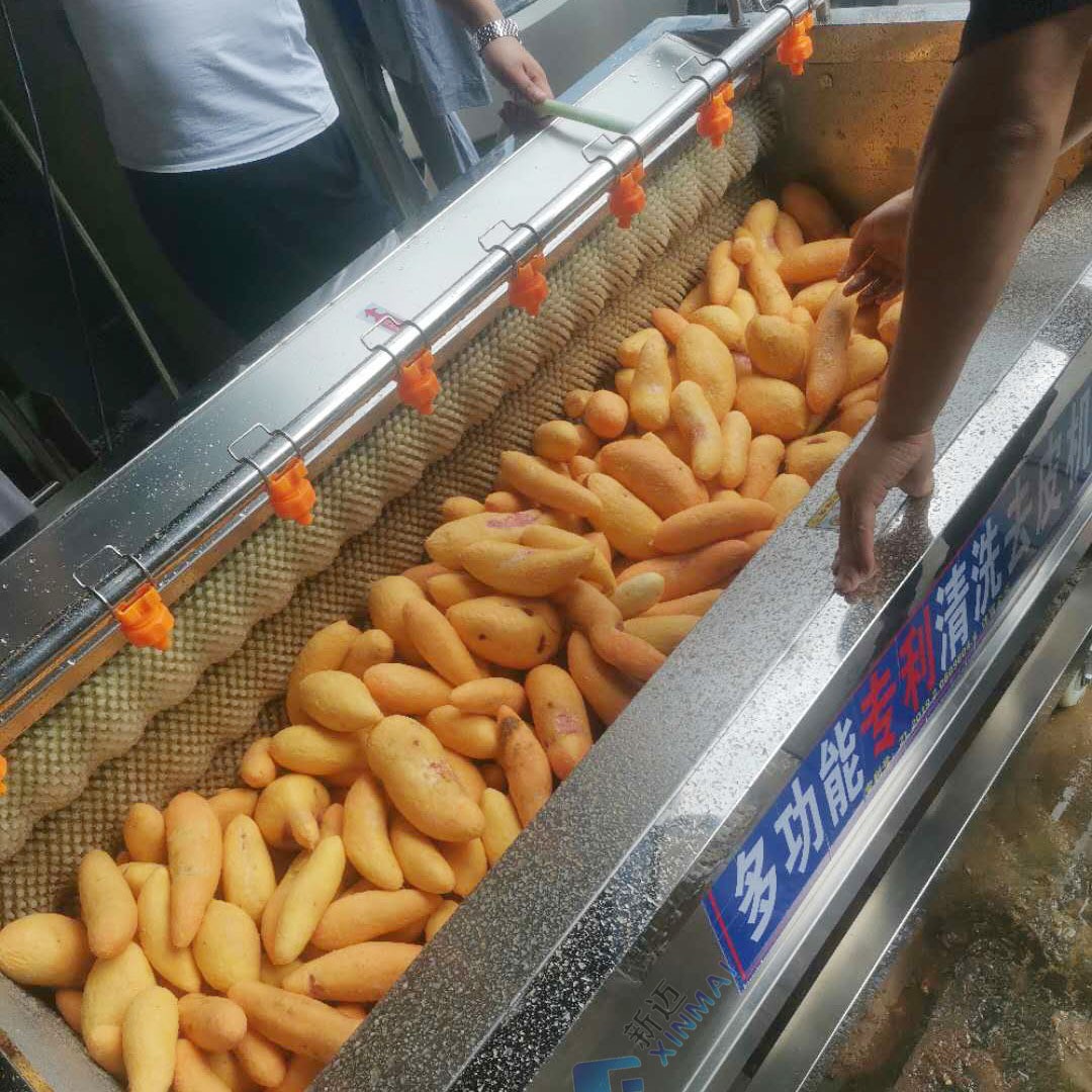 芋头莲藕去皮清洗设备 猪脚猪脸去毛清洗机 毛刷去皮清洗机图3