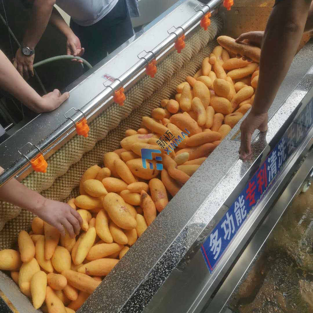 毛辊胡萝卜清洗机 电动萝卜去皮机 新迈商用果蔬清洗去泥去皮机图2