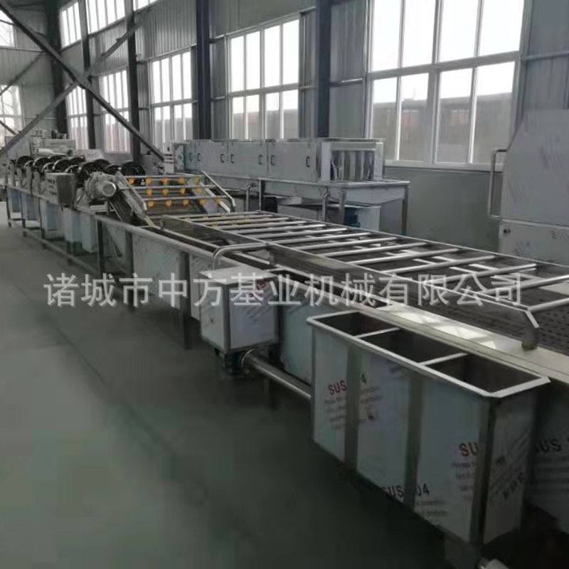 气泡清洗机 学校食堂用蔬菜清洗设备 全自动土豆辣椒喷淋洗菜机图4