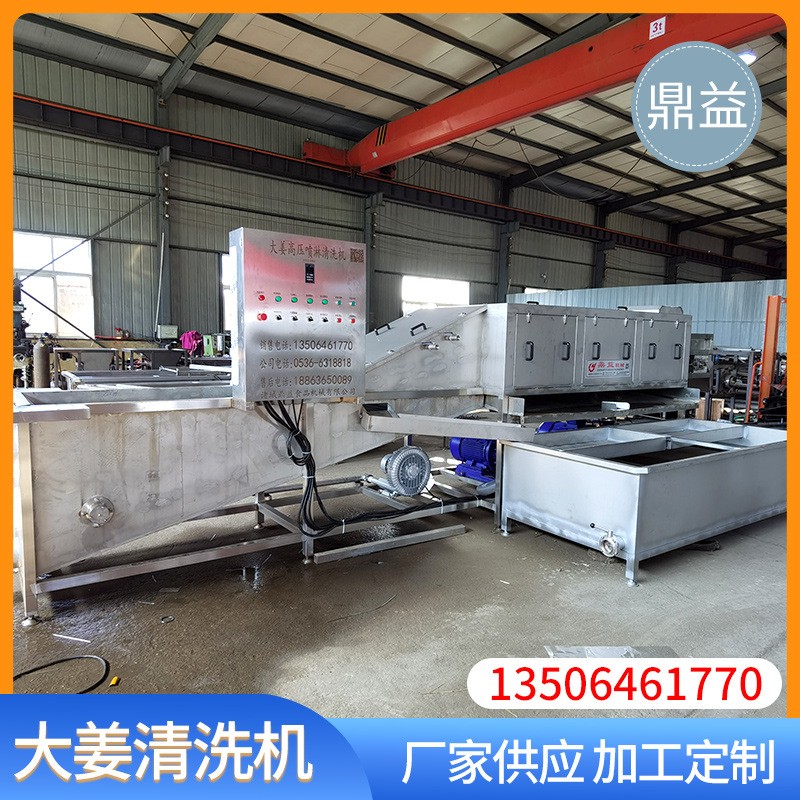商用大姜高压喷淋清洗设备 多功能生姜老姜清洗机鼎益机械图2