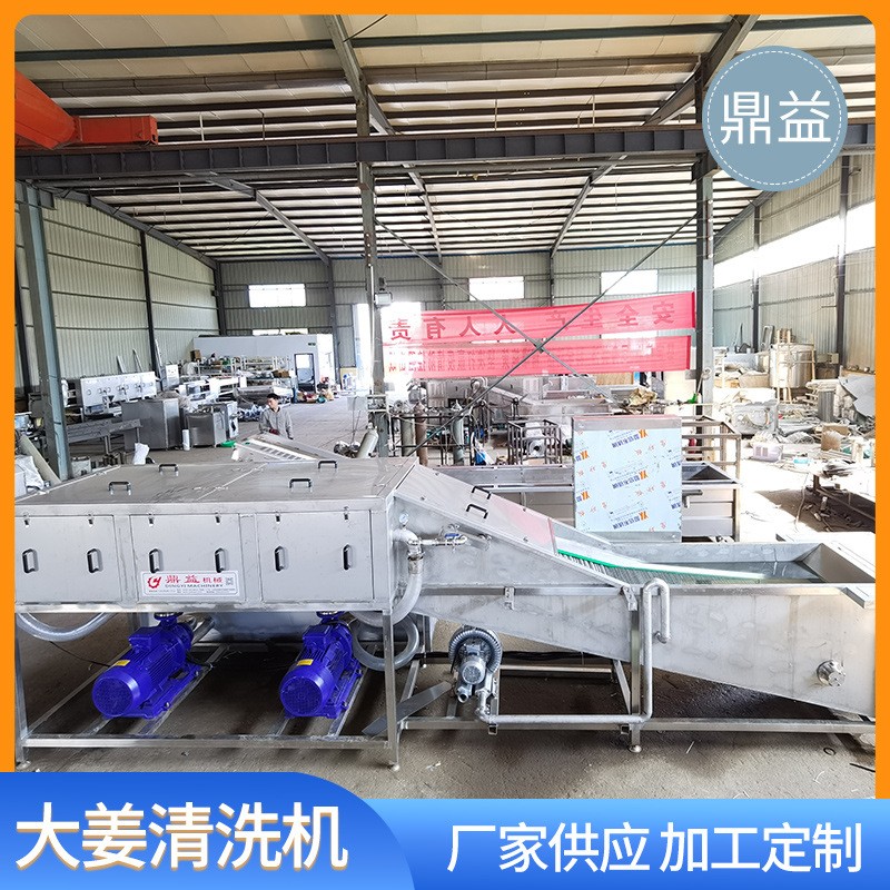 商用大姜高压喷淋清洗设备 多功能生姜老姜清洗机鼎益机械图4