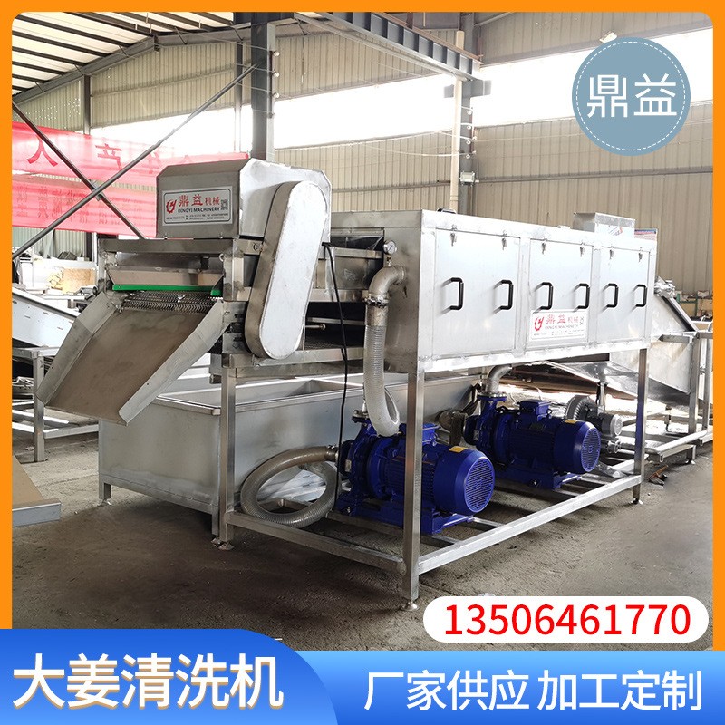 商用大姜高压喷淋清洗设备 多功能生姜老姜清洗机鼎益机械图3