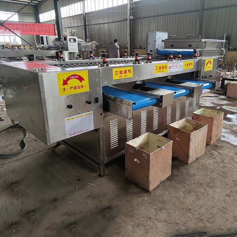 全自动大蒜加工流水线 蒜瓣分选机 干蒜米加工设备厂家供应图3