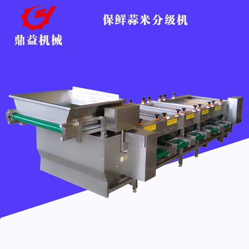 全自动大蒜加工流水线 蒜瓣分选机 干蒜米加工设备厂家供应图1