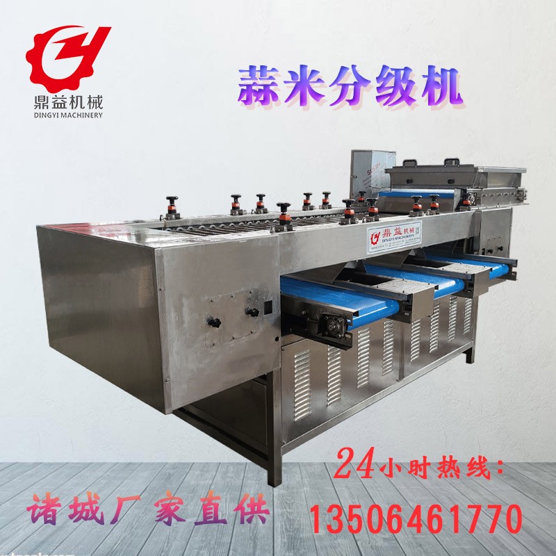 蒜米分拣分选机设备 大型蒜瓣分选机 筛选设备厂家直供图1