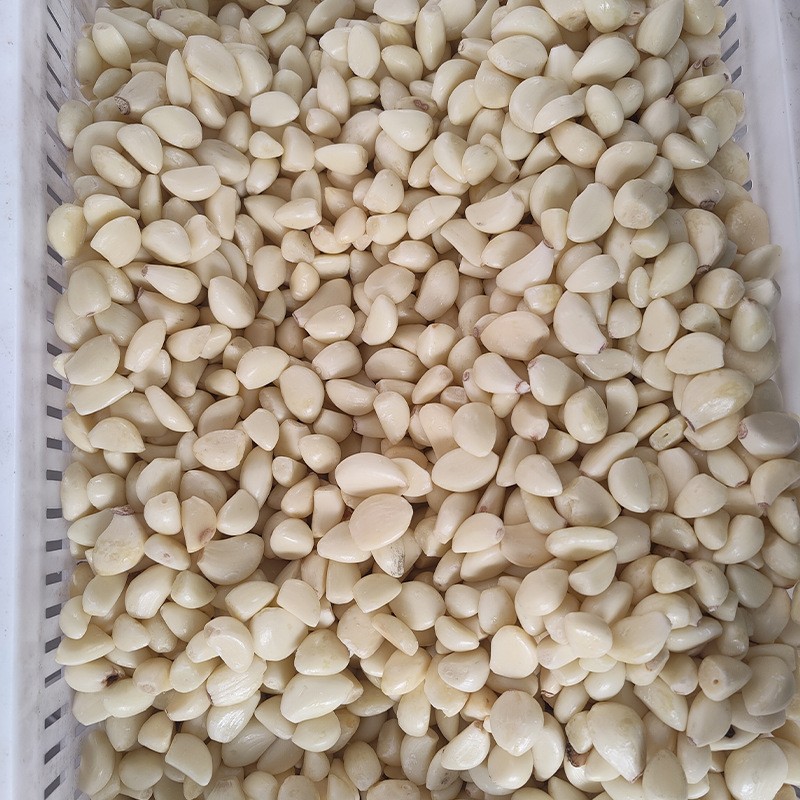 蒜米分拣分选机设备 大型蒜瓣分选机 筛选设备厂家直供图3