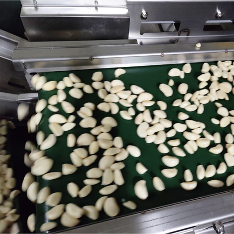 蒜米分拣分选机设备 大型蒜瓣分选机 筛选设备厂家直供图2