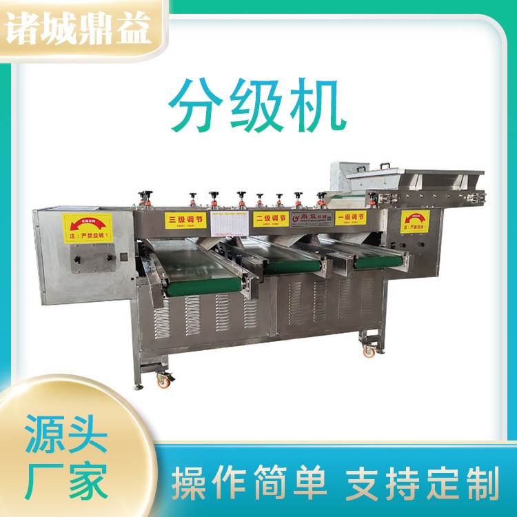 保鲜蒜米分级机 大蒜分拣机 大蒜重量分选机鲜蒜分拣机 支持定制图2