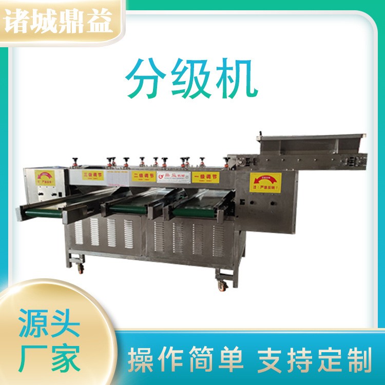 保鲜蒜米分级机 大蒜分拣机 大蒜重量分选机鲜蒜分拣机 支持定制图3