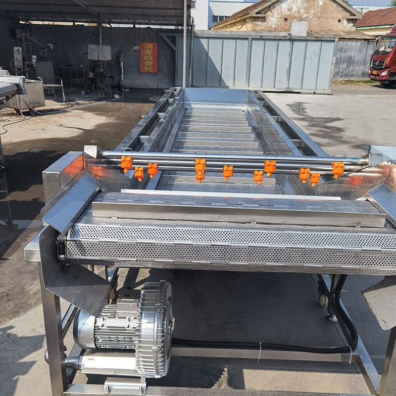 厂家全自动果蔬清洗流水线大型商用三七叶类土豆去泥喷淋清洗机图3