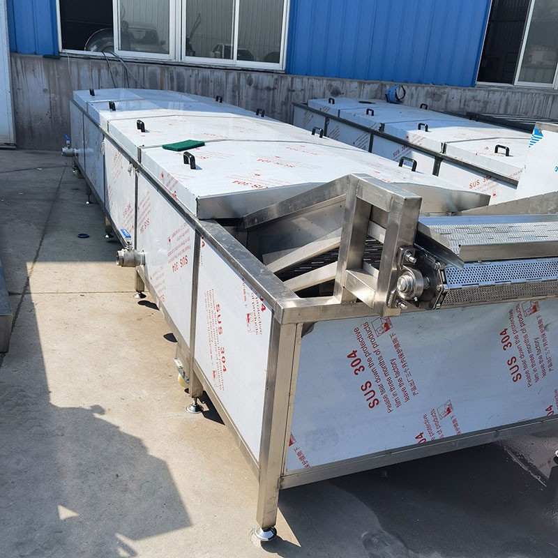 厂家全自动果蔬清洗流水线大型商用三七叶类土豆去泥喷淋清洗机图4