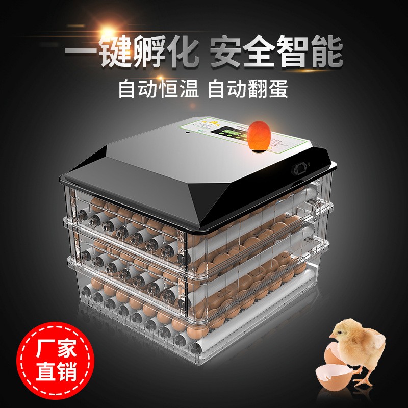 孵化机全自动小型家用型智能孵化器小鸡蛋孵化箱鸡鸭鹅养殖孵蛋器图5