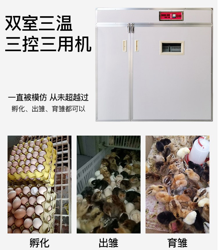 全自动孵化机双室/鸡蛋鸭鹅鸽子孵化器/家用孵蛋箱/鹌鹑孵化设备图4