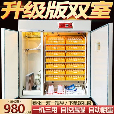 全自动孵化机双室/鸡蛋鸭鹅鸽子孵化器/家用孵蛋箱/鹌鹑孵化设备图2