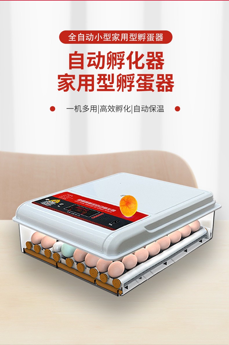 孵化器全自动家用小型塑料壳孵化机家用孵化箱鸡鸭鹅鸽子蛋孵化器图4